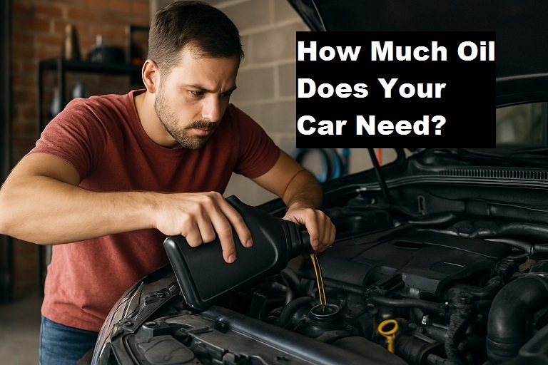 How Much Oil Does Your Car Need